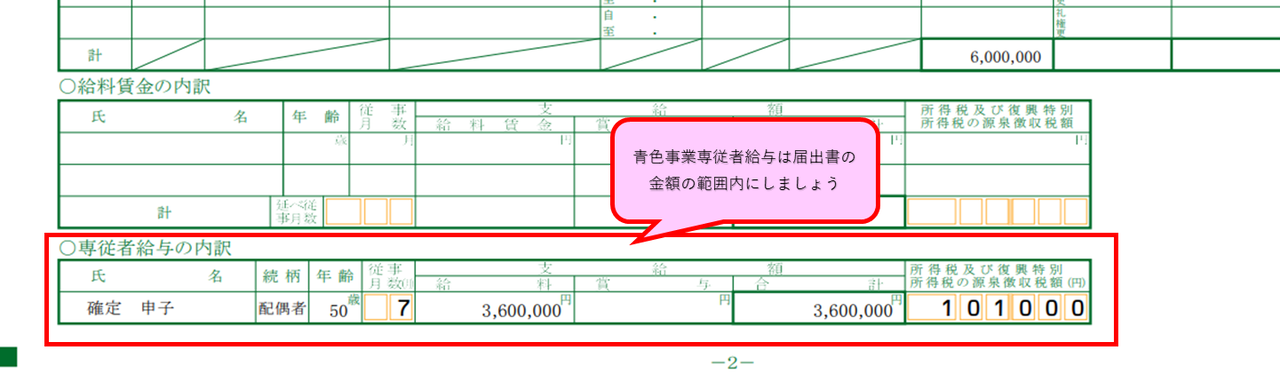 青色欠損金ページ目の書き方